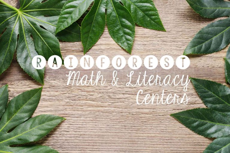 Rainforest Centers