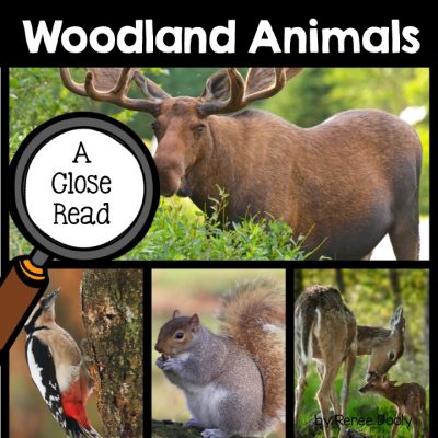 woodland-animals-close-read