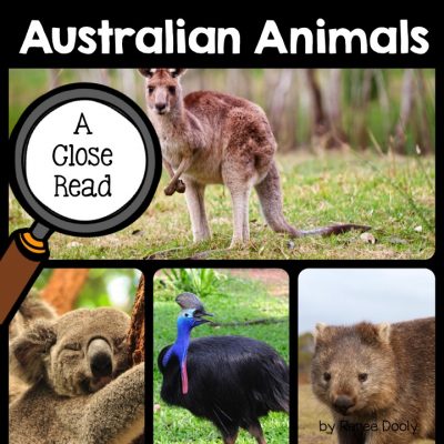 australian-animals-close-read