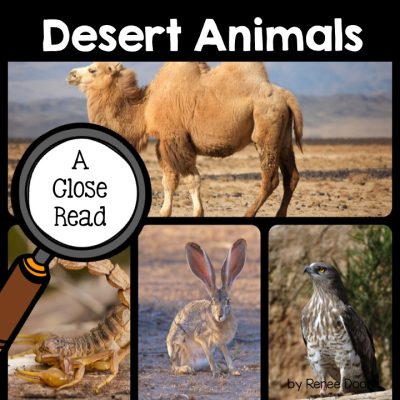 desert-animals-close-read