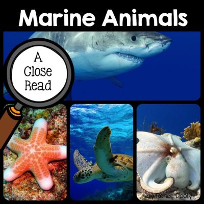 marine-animals-close-read