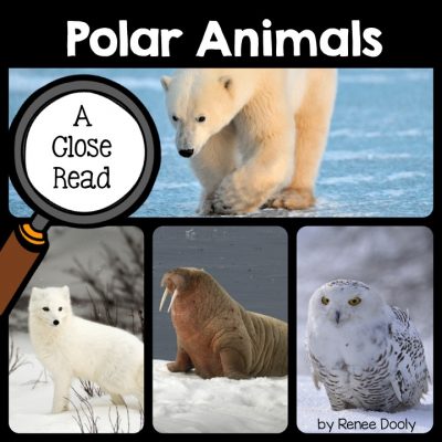 polar-animals-close-read