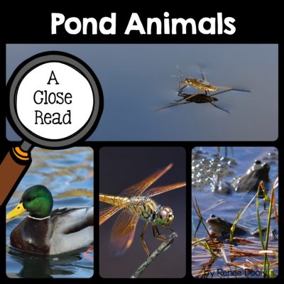 pond-animals-close-read