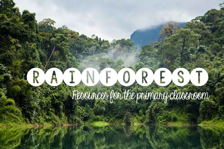 Rainforest Ideas and Resources