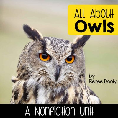 all about owls cover sq
