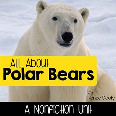 all about polar bears
