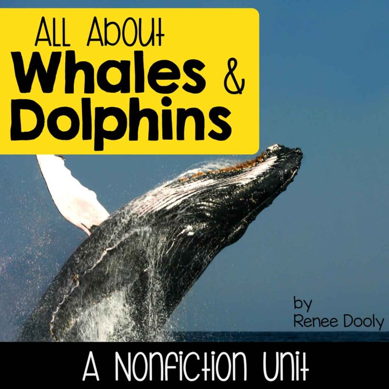 all about whales cover sq copy