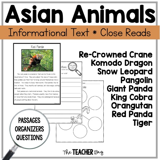 Asian animal reading passages