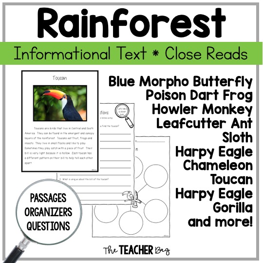 rainforest animal reading passages