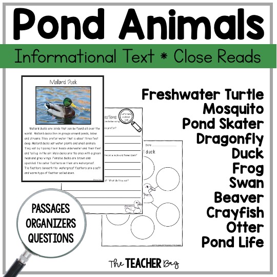 Pond Animal Reading Passages - The Teacher Bag