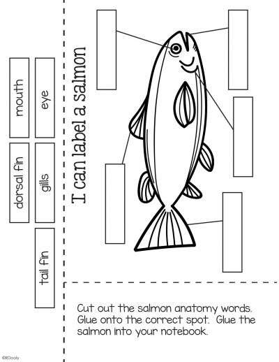 label a salmon scaled