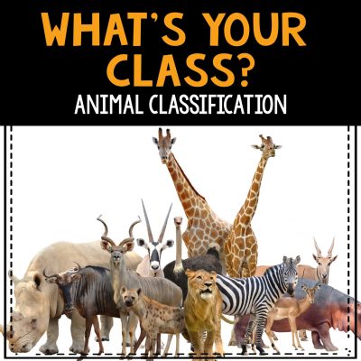 What's You Class Animal Classification