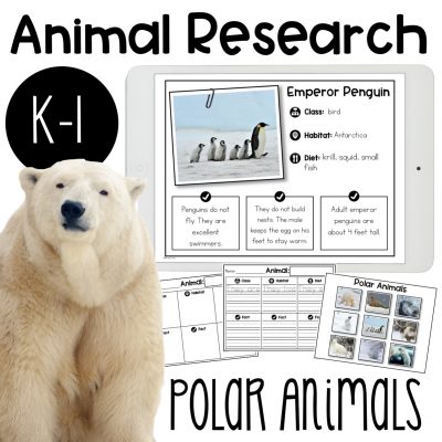 polar animal research report