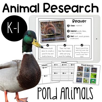 Pond Animal Research Report