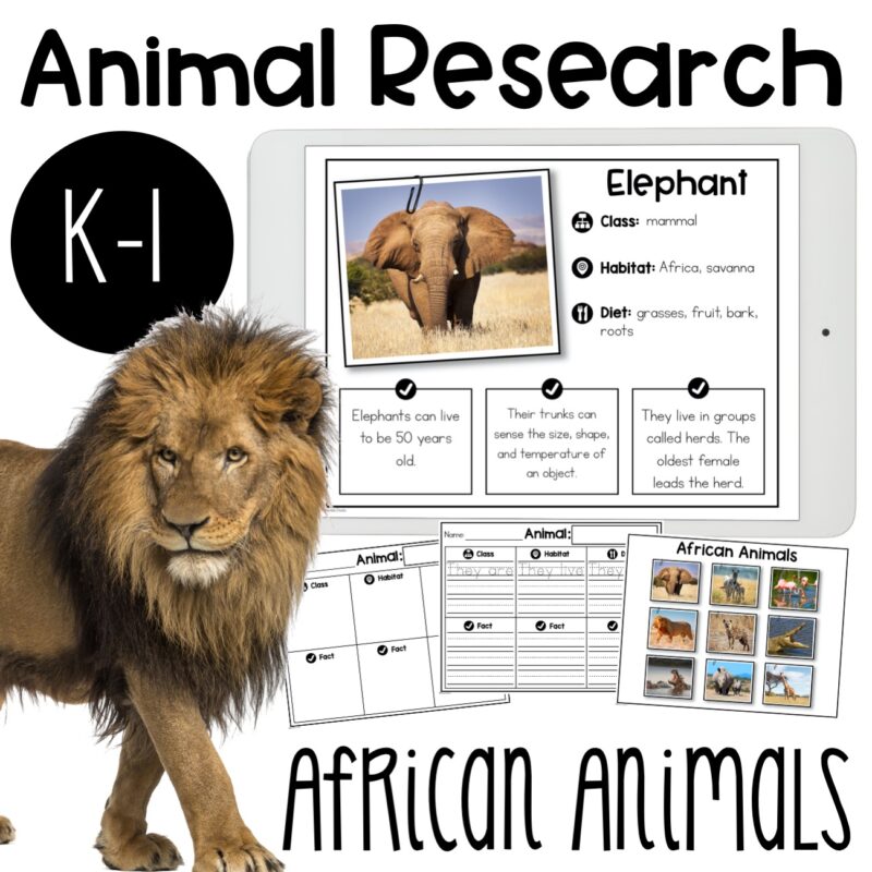 African Animal Research Report
