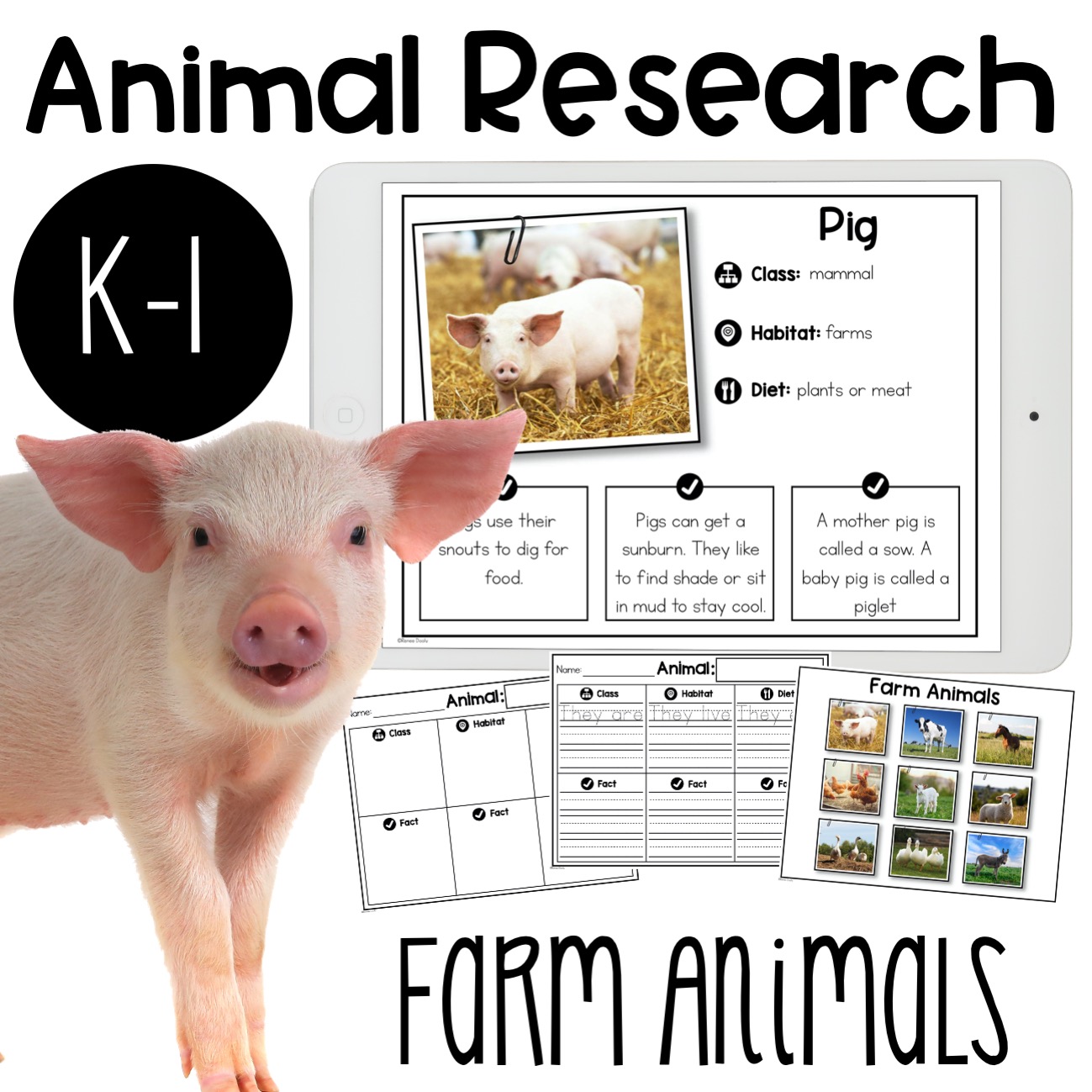 Farm Animal Research Report - The Teacher Bag