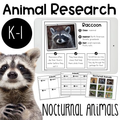 nocturnal animal research report