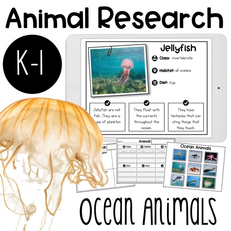 Ocean Animal Research Report