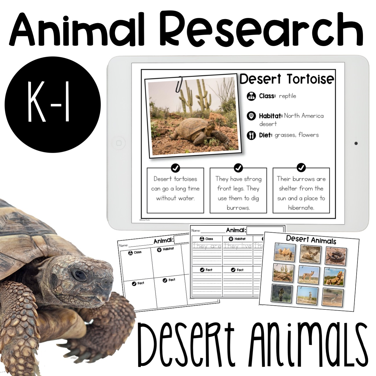 Desert Animal Research Report