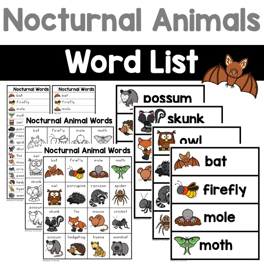 Nocturnal Animal Words