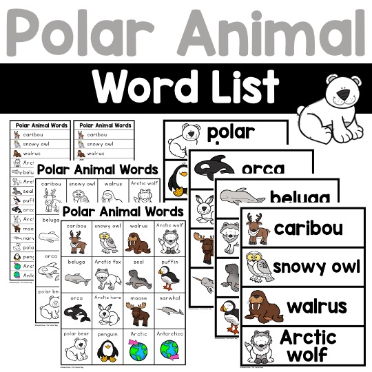 Polar Animal Words