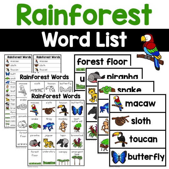 rainforest words