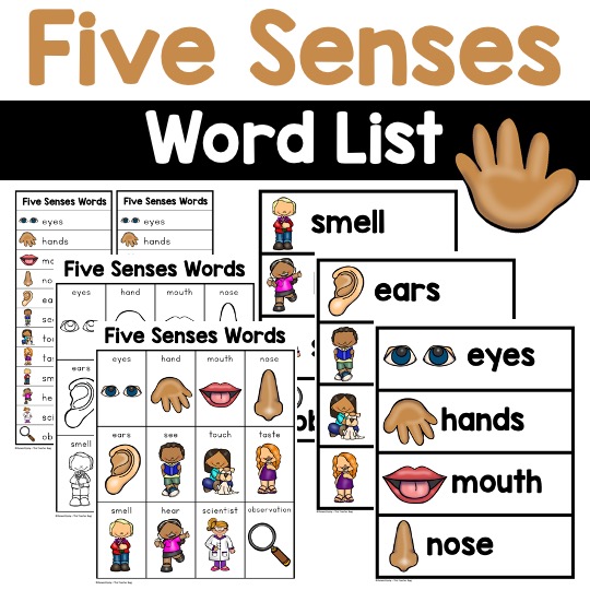 five senses words