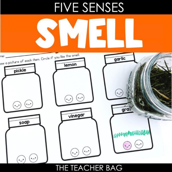 smell activities cover worksheet with jar of cut grass