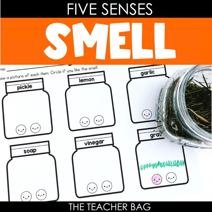 Five Senses: Smell Activities 1 smell activities cover worksheet with jar of cut grass