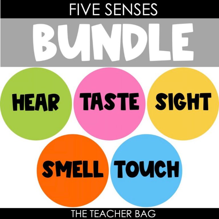 Five Senses Bundle 5 five senses bundle